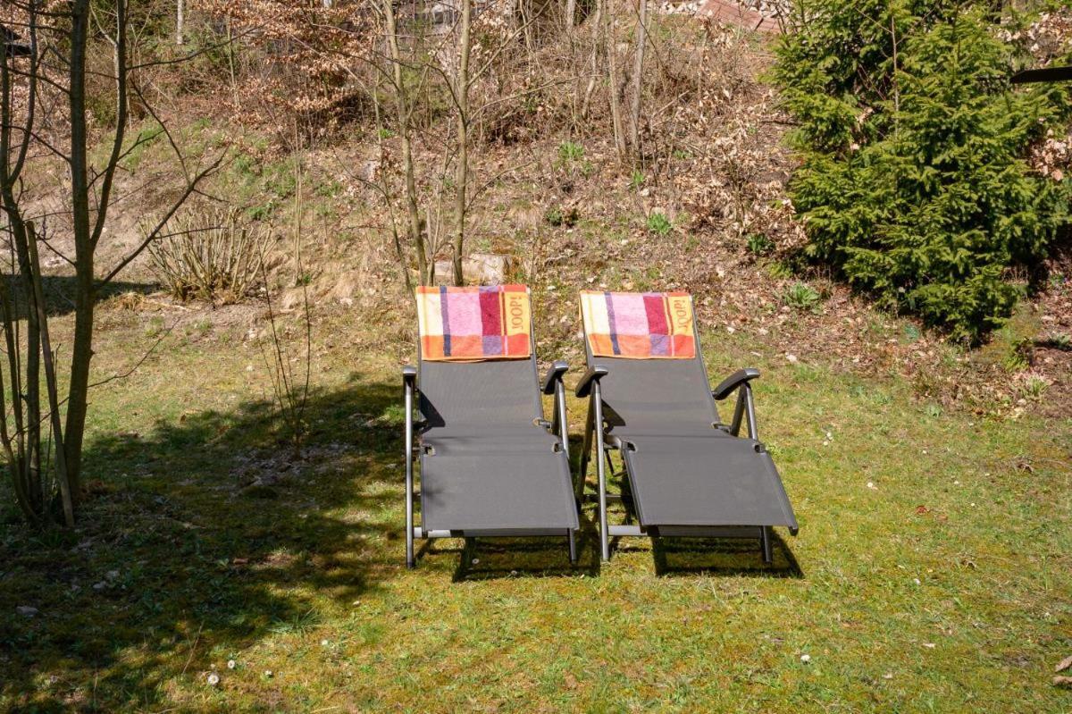 Bergchalet La Roubine Willingen Neerdar Exterior photo